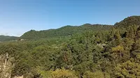 张家界天子山天子阁