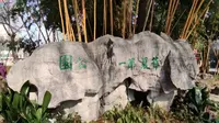 无锡人都知道的无锡公花园又叫城中公园（甲辰龙年初二）