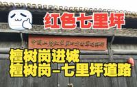 【红安县乡村进出镇道路POV】[红色七里坪]红安县檀树岗乡(25军重建地)—七里坪镇 (红四军诞生地)