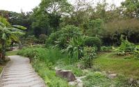 3月份春游 之 广西药用植物园