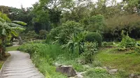 3月份春游 之 广西药用植物园