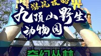 徐州九顶山野生动物园步行区之奇幻丛林