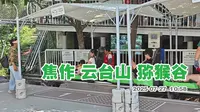 焦作云台山猕猴谷 有小火车可以坐上去 但是排队需要排很久 太阳又很晒 还不如直接走上去