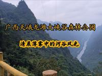 广西天峨龙滩大峡谷森林公园，清晨薄雾中的河谷风光，静谧而壮美
