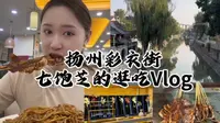 扬州彩衣街逛吃Vlog