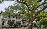 【云旅行&展厅】溪口博物馆/武岭学校/民国博物院，民国恍如昨日