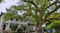 【云旅行&展厅】溪口博物馆/武岭学校/民国博物院，民国恍如昨日