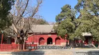 会善寺，嵩山四大寺院之一，保存着嵩山唯一的元代木构建筑
