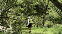 5.17雅安二郎山喇叭河