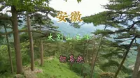 自驾游安徽六安，登大别山主峰白马尖，苍松翠柏景色绝了！