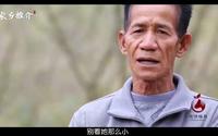 广西百色市德保县：德保矮马产业宣传片