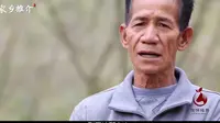 广西百色市德保县：德保矮马产业宣传片