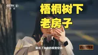 《梧桐树下老房子》01 遗珍焕彩：外滩1.5公里长的道路上 矗立着23幢风格迥异的老大楼 构成了令人叹为观止的外滩万国建筑博览群【CCTV纪录】_1080p