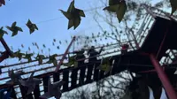 【假期vlog】探秘宜昌宜都风景区古潮音洞，春节登高望远，穿越溶洞，感受大自然的鬼斧神工