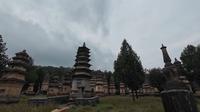 游览少林寺塔林