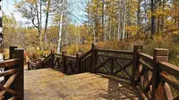 阿尔山石塘林