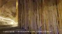 欢迎大家来参观青岛滨海学院世界动物自然博物馆