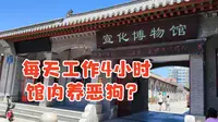 河北宣化博物馆一天工作4小时，午休4小时，馆内养恶狗？