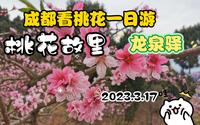 成都看桃花一日游（龙泉驿—桃花故里）