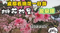 成都看桃花一日游（龙泉驿—桃花故里）