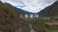 川西-四姑娘山-人参果坪