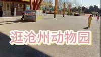 逛逛沧州动物园