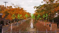 合肥牛角大圩
