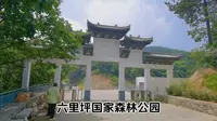 六里坪国家森林公园