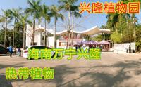 海南兴隆热带植物园是农科院旗下植物们的天堂，气候适宜讲解免费