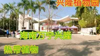 海南兴隆热带植物园是农科院旗下植物们的天堂，气候适宜讲解免费