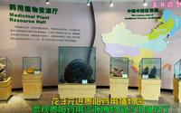 花3元进贵阳药用植物园，参观贵阳药用资源博物馆药用植物厅