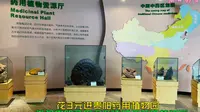花3元进贵阳药用植物园，参观贵阳药用资源博物馆药用植物厅