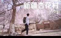 「旅行vlog」新疆帕米尔高原的杏花村，真实版的世外桃源