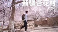 「旅行vlog」新疆帕米尔高原的杏花村，真实版的世外桃源