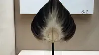中国扇博物馆