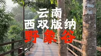 云南“野象谷”，这里大概是西双版纳最受欢迎的景点之一