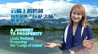 云端上的跨越｜拉鲁湿地：“拉萨之肺”的重生