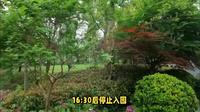 上海宝山顾村公园旅游攻略