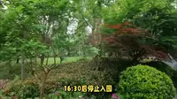 上海宝山顾村公园旅游攻略