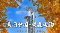 ⛳️在北京奥林匹克森林公园，看见中国的100种美好☀️☀️☀️