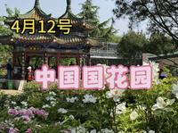 4月12号，洛阳中国国花园