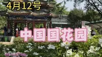 4月12号，洛阳中国国花园
