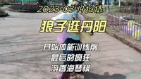 开始体能训练前去香海琴枫疯狂一把玩个够