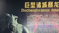 探店诸城暴龙馆，国内恐龙化石宣传何时能跟上