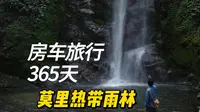 瑞丽第三、四天，我们去了莫里热带雨林