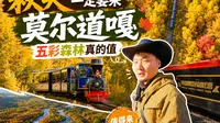 呼伦贝尔的秋天，如果只选一个森林目的地，我会推荐莫尔道嘎。这里最打动人的不只是小火车，而是整片森林一起进入秋天的那种层次感。小火车确实热，热门，人也会多一点，…