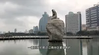 福建厦门白鹭洲公园，环境优美好多鸽子啊