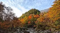 安徽六安天堂寨白马大峡谷绝美秋色