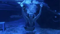 天津极地海洋公园 人鱼表演