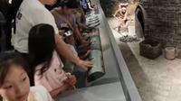 山东淄博：陶瓷琉璃博物馆打卡热